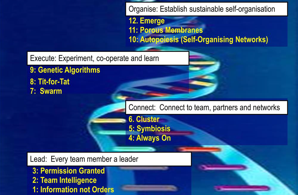 Bioteams model